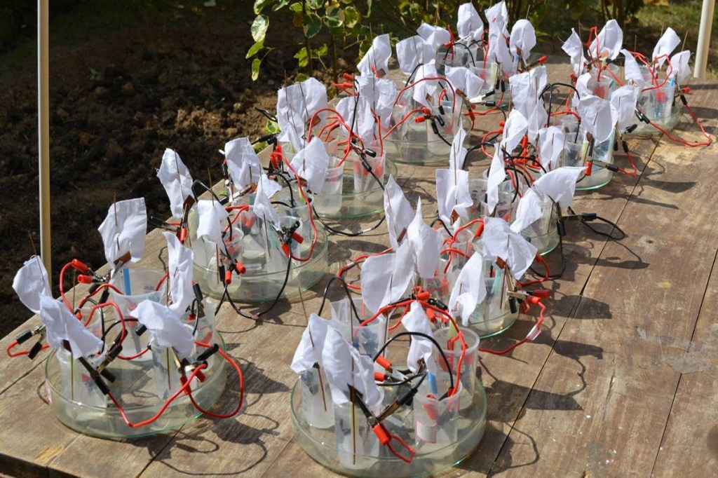 The device relies on capillary action to generate power. (Photo source: IE)