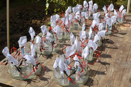 The device relies on capillary action to generate power. (Photo source: IE) The device relies on capillary action to generate power. (Photo source: IE)