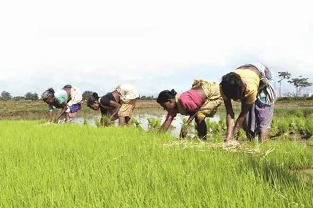 Most crops are being sold significantly below the MSP in the state, where central procurement is low.