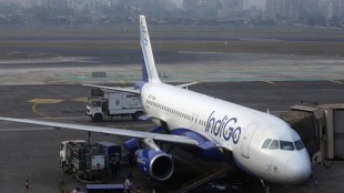 indigo airlines, indigo news, indigo covid testing, indigo flight status, rt pcr test, rt pcr full form, rt pcr test flights, rt pcr report online,