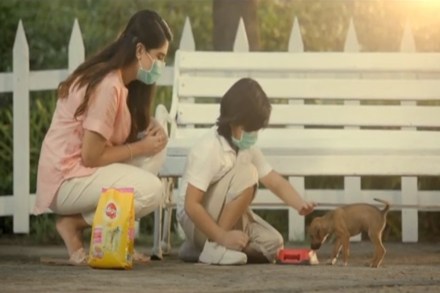 The ad film has been conceptualised and produced by ZEE5