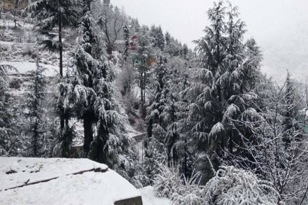 Over one-feet snow has accumulated on the famous skiing slopes of Auli in Chamoli district.