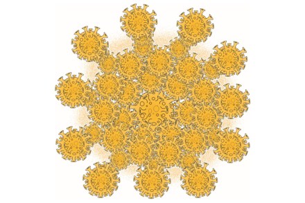 Within the same region, differences in governance could also be a contributory factor. Within the same region, differences in governance could also be a contributory factor.