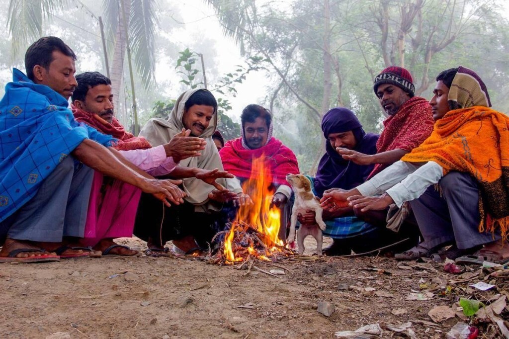 cold wave, cold wave in delhi, cold wave in india, cold wave in north india, cold wave in india 2020,