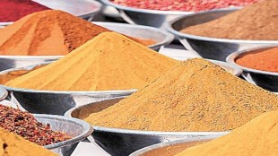 The spice which recorded the maximum growth in terms of quantity and value was small cardamom.