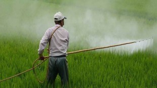 Budget 2021 Expectations for agri: While urea price is fixed by the government, companies fix the MRP of P&K fertilisers, as the latter are decontrolled commodities.