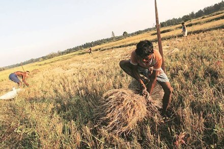 Solving India’s rural distress now may just unleash the next stage of India’s structural transformation that will enable it to become a $5 trillion economy by 2025.