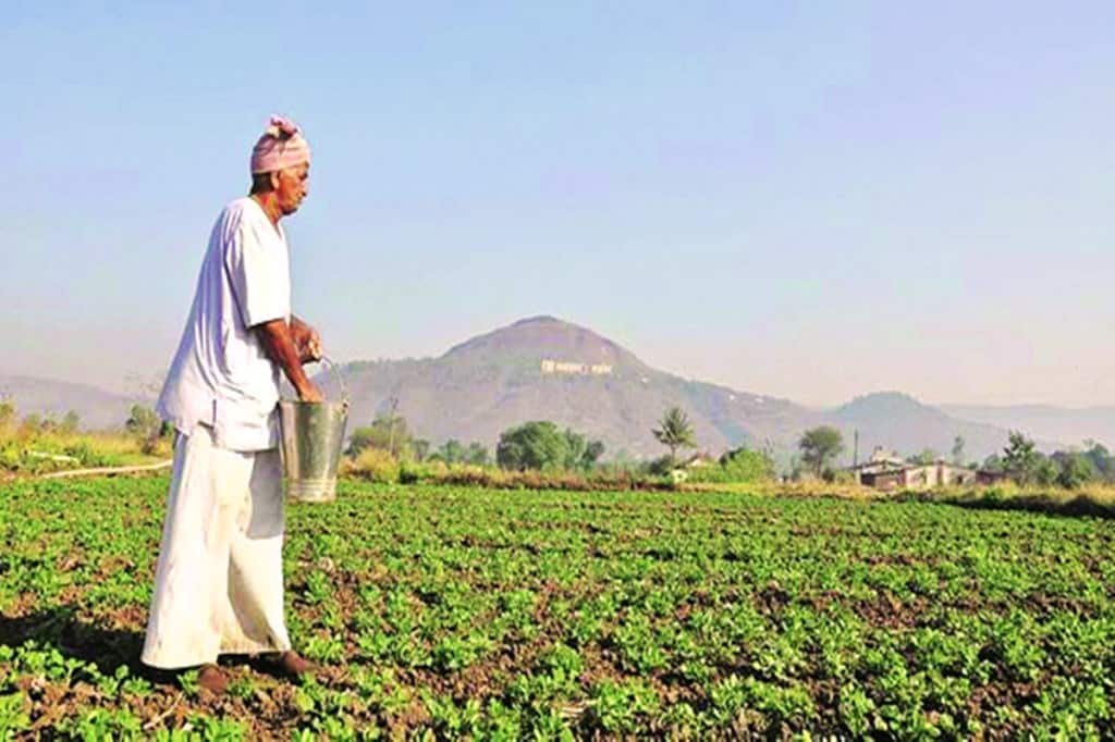 agriculture, agri, farm sector, manufacturing, services,