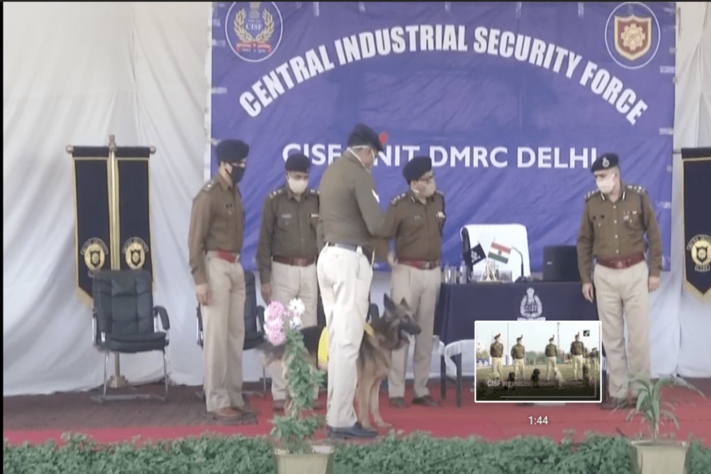 CISF dogs farewell, delhi metro dogs