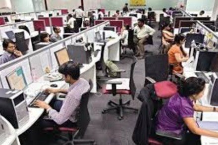 IT sector
