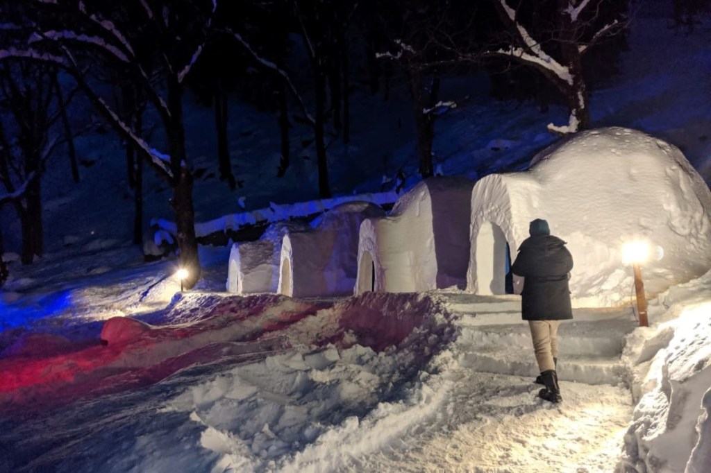 manali igloo stay, vacation ideas 2020