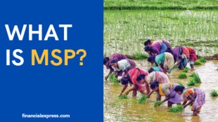 MSP, minimum support price, msp meaning, what is msp, what is minimum support price, minimum support price meaning, msp in india, farming, farmers, agriculture, crops, green revolution, kharif, rabi