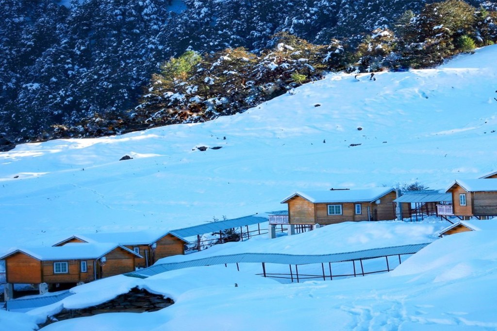 Travel during Covid Travel during Covid