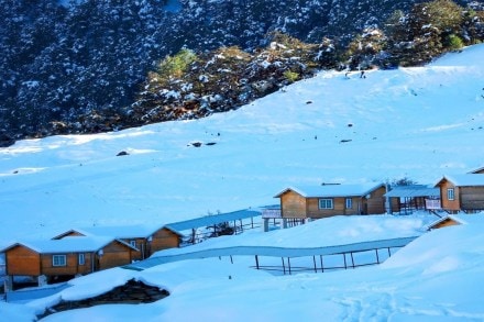 Travel during Covid Travel during Covid