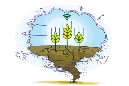 Direct cash transfers and free pricing of inputs would make agriculture more efficient.