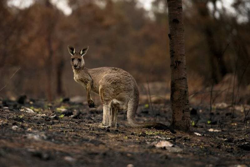 new year's eve, throwback 2020, bye bye 2020, new year's eve 2021, New Year resolution, 31 December 2020, 2021 happy new year, powerful images, 2020 powerful images, India under lockdown, coronavirus, coronavirus vaccine