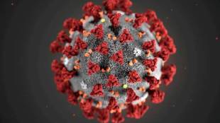 coronavirus pandemic, new strain of coronavirus