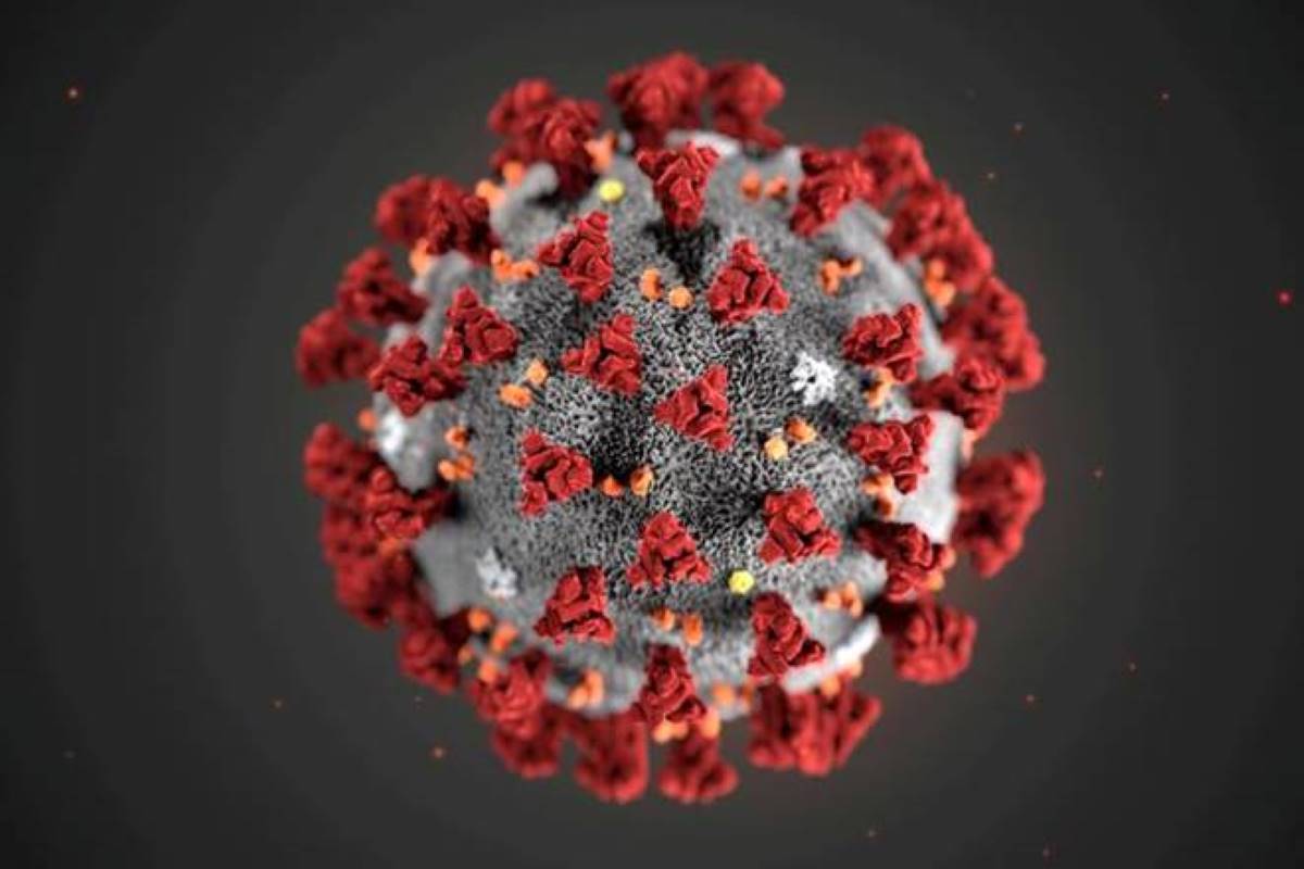 coronavirus pandemic, new strain of coronavirus coronavirus pandemic, new strain of coronavirus