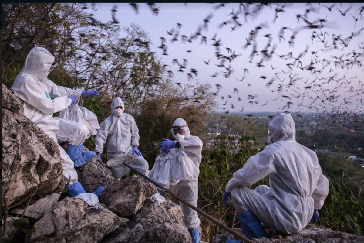 covid 19,covid 19 pandemic