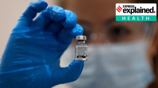covid19 vaccine