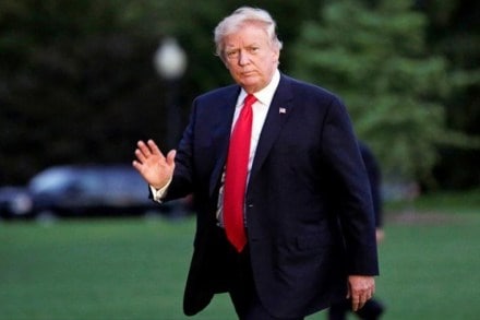 donald trump donald trump