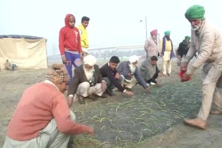 farmer laws, parmer's protest, farmer' s stir farmer laws, parmer's protest, farmer' s stir