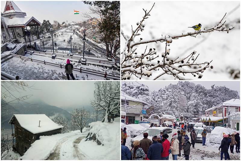 Snowfall in Himachal, Shimla snowfall, manali snowfall, leh tunnel, manali leh tunnel, atal tunnel, manali to leh tunnel distance, manali to atal tunnel distance, weather manali, weather shimla