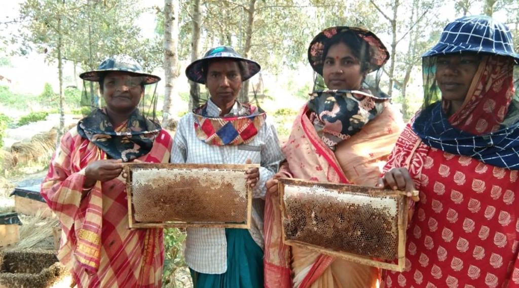 According to Expert Market Research, the India honey market was worth around Rs 1,729 crore in 2019. (Representational image)