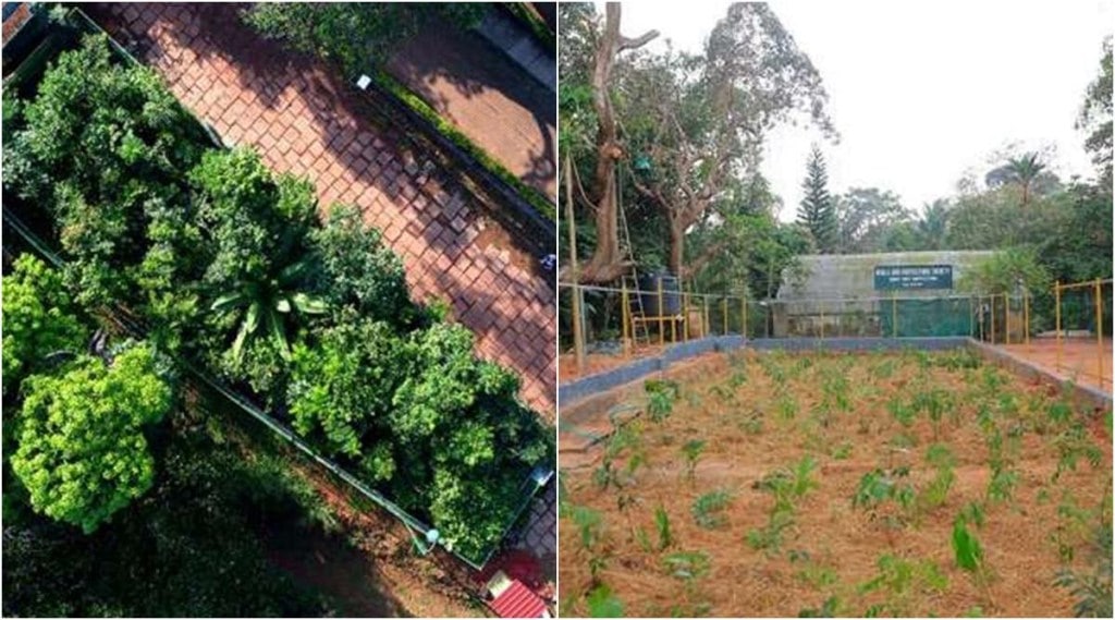 Kerala Local Body Election Results Live, 2020 Kerala Local Body Election Results