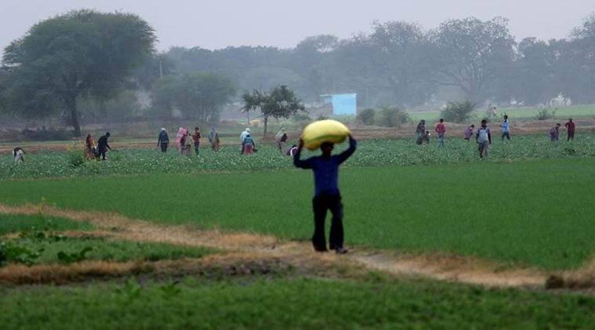 WBIDC, land in Bengal, land bank for greenfield investment, WBIDC, land in Bengal, land bank for greenfield investment,