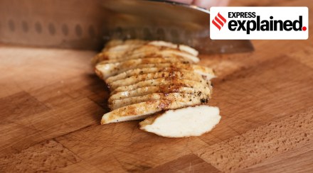 The vertically integrated supply chains with high bars on quality have helped startups to step up growth. (Reuters)