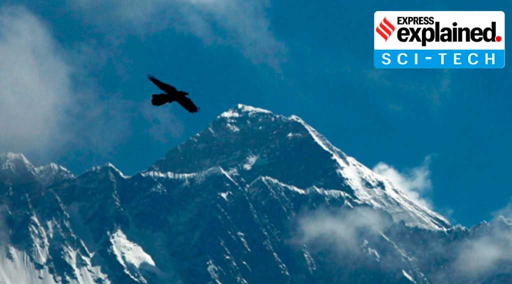 The Survey of India had determined the previous height of Mount Everest back in 1954. The Survey of India had determined the previous height of Mount Everest back in 1954.