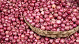 Shah had earlier said India can export some 20 lakh tonne this season after the arrival of the new crop.