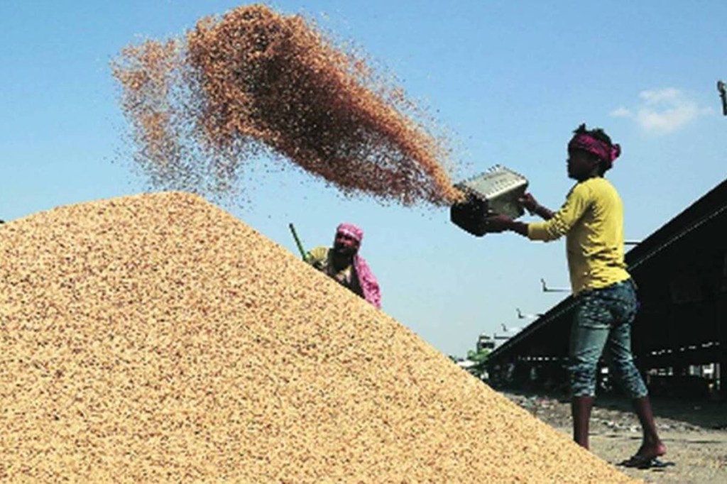 Paddy procurement Paddy procurement