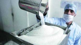 sugar, msp, Mukesh Kuvediya, secretary general, Bombay Sugar Merchants Association, sugar prices in maharashtra, sugar msp, poor demand of sugar