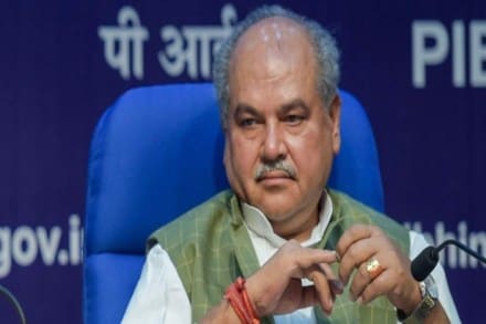 Union Agriculture Minister Narendra Singh Tomar. (PTI)