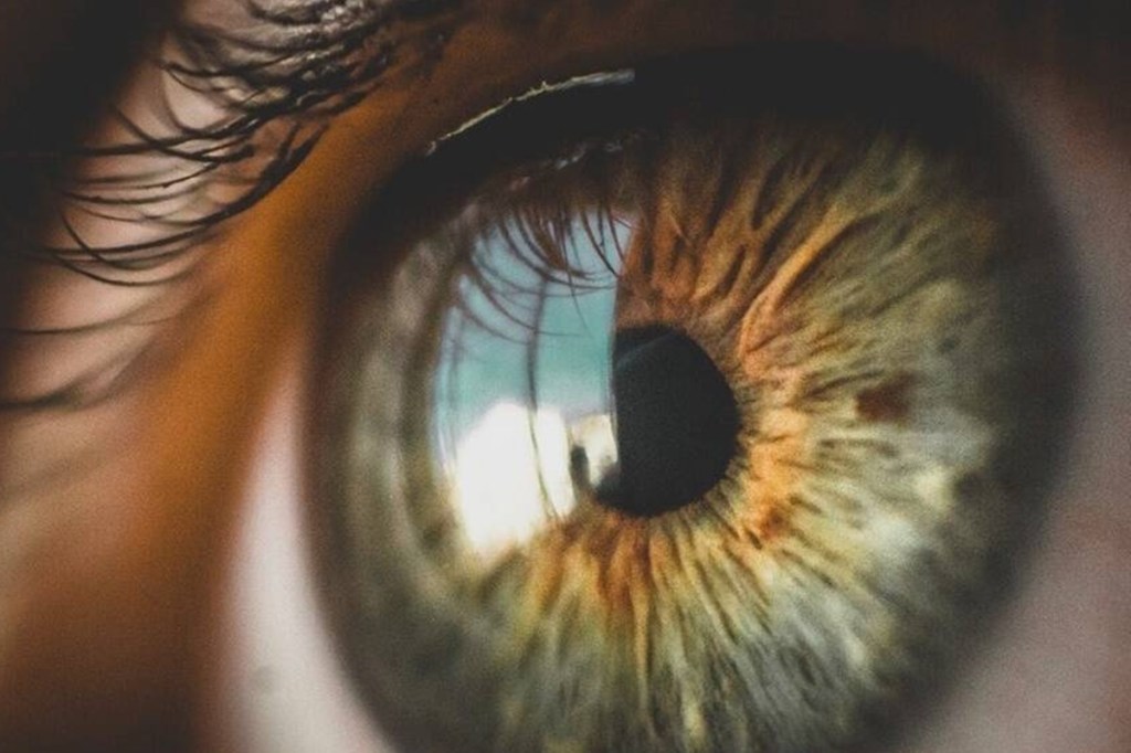 Banerjee said students of all government schools will be provided free eye check-up and upon requirement, spectacles will be made available to about four lakh students.