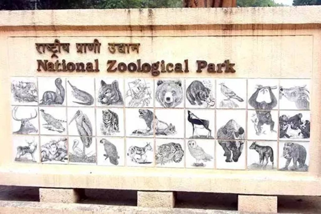 "The zoo witnessed the death of a brown fish owl in its captivity. Its cloacal, tracheal and ocular swabs were sent to the animal husbandry unit of the Delhi government for serological examination," zoo Director Ramesh Pandey said.