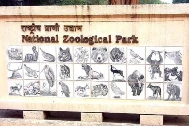 "The zoo witnessed the death of a brown fish owl in its captivity. Its cloacal, tracheal and ocular swabs were sent to the animal husbandry unit of the Delhi government for serological examination," zoo Director Ramesh Pandey said.