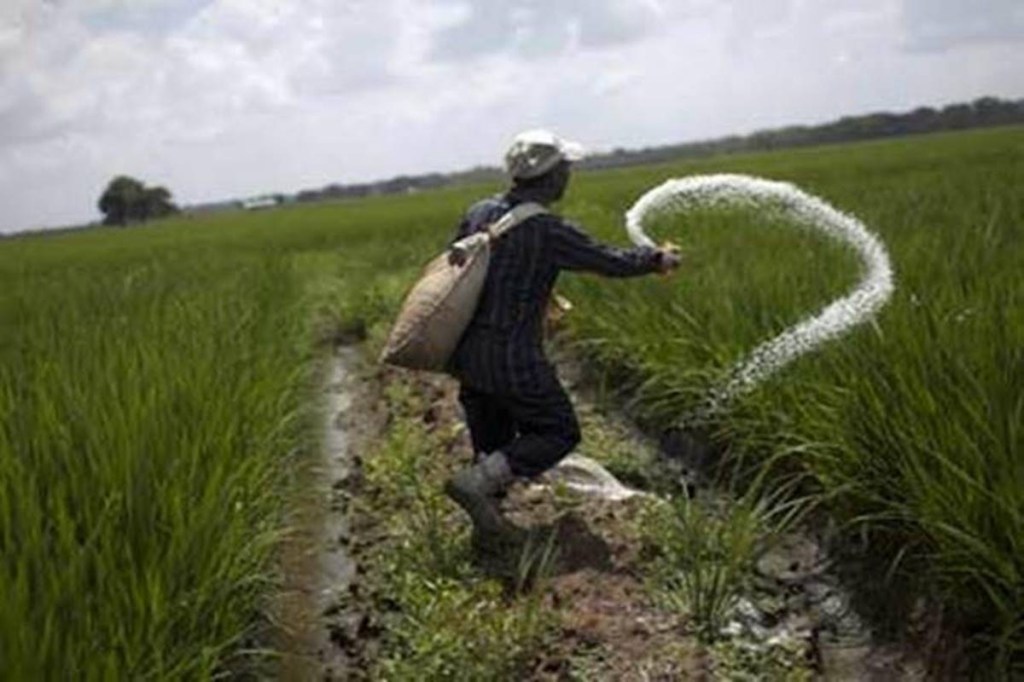 Currently, the government releases subsidy amount to fertiliser manufactures periodically, based on Aadhaar-authenticated sales via point of sale (PoS) machines, which was rolled out from April 1, 2018, in the first phase of DBT.