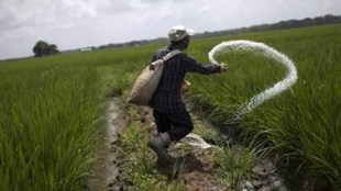 Currently, the government releases subsidy amount to fertiliser manufactures periodically, based on Aadhaar-authenticated sales via point of sale (PoS) machines, which was rolled out from April 1, 2018, in the first phase of DBT.