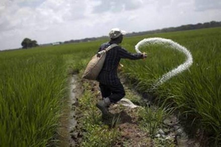 Currently, the government releases subsidy amount to fertiliser manufactures periodically, based on Aadhaar-authenticated sales via point of sale (PoS) machines, which was rolled out from April 1, 2018, in the first phase of DBT.