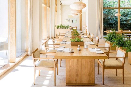 Budget 2021 Expectations for hospitality industry: GST rates for hotels and restaurants need drastic reduction for 2021-22. Budget 2021 Expectations for hospitality industry: GST rates for hotels and restaurants need drastic reduction for 2021-22.