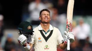 david warner india australia test series injury