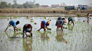 Indian Agriculture, Agri financing, scientific warehousing