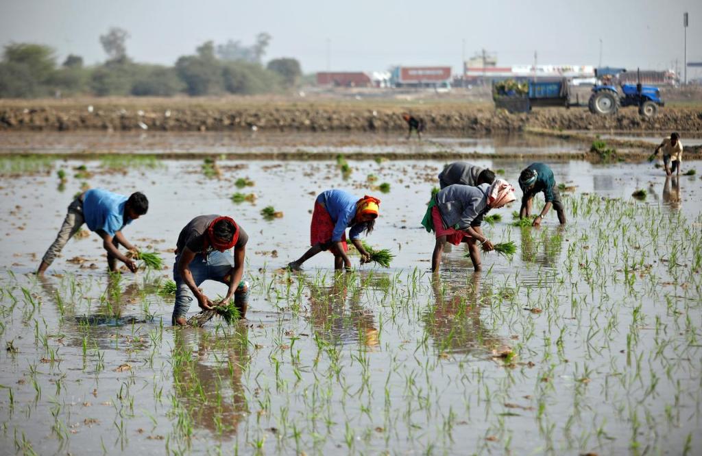 Indian Agriculture, Agri financing, scientific warehousing