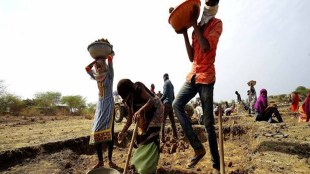 MGNREGA,economy