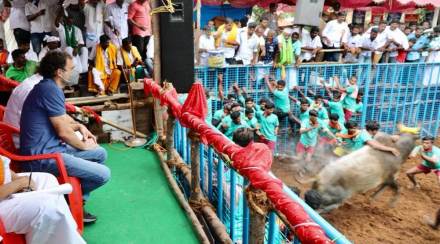 Rahul Gandhi on farmers' protest