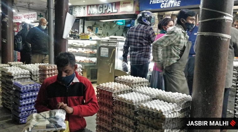 Bird flu scare: 24 crows found dead in Jasola park, 10 ducks die at ...