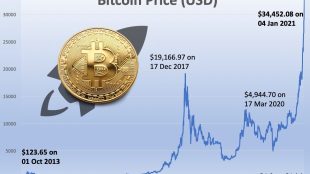 Bitcoin price chart 1 year